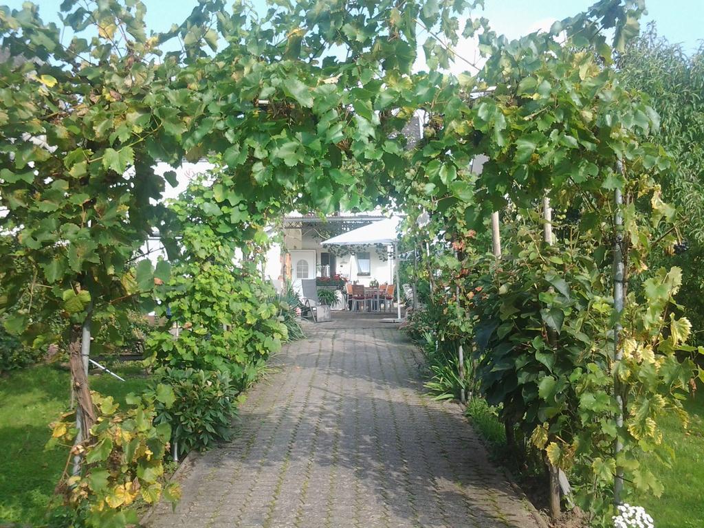Ferienweingut Arnold Thiesen Privatunterkunft